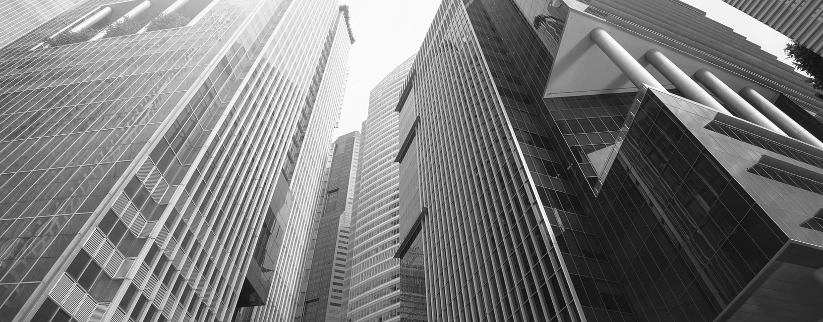 BAP Impulsadora de negocios